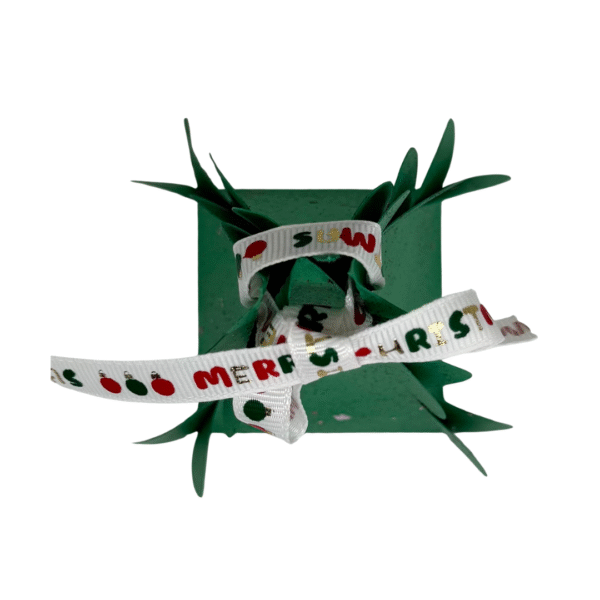 Boite Sapin de Noël fermeture