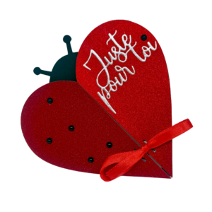 Carte de Saint Valentin faite main : Coeur coccinelle