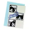 carte-chat-anniversaire-blanc-lettrage-bleu